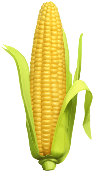 pngimg.com - corn_PNG98629
